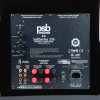PSB SubSeries 250 (High Gloss Black) задняя панель