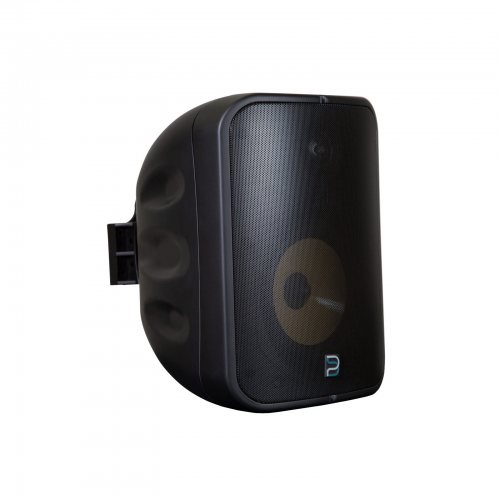 Bluesound BPS1000 Black Всепогодная акустика с Bluetooth и Wi-Fi