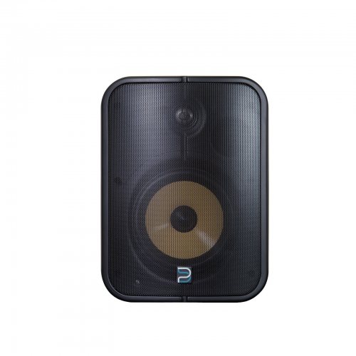 Bluesound BPS1000 Black Всепогодная акустика с Bluetooth и Wi-Fi