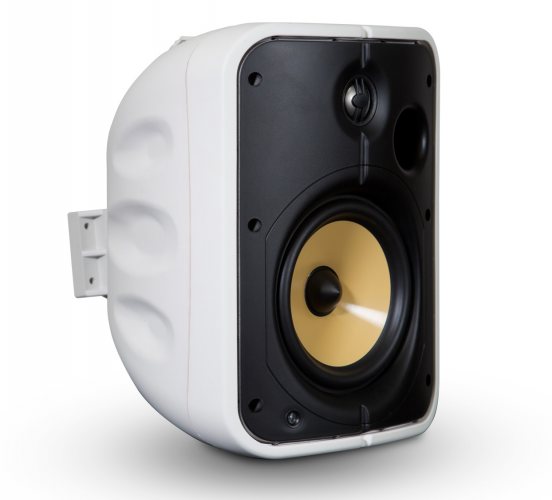 Всепогодная акустика PSB CS1000 (White)