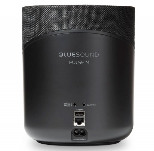 Bluesound PULSE M