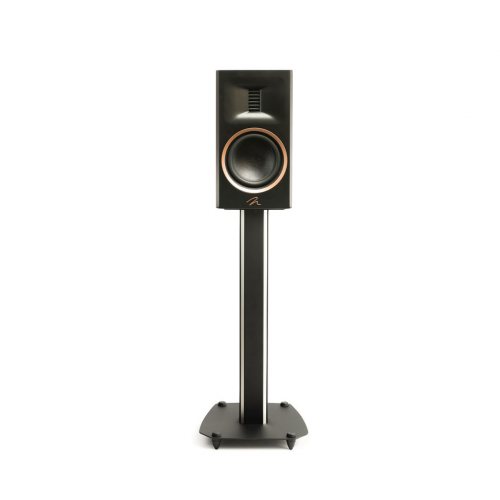 Martin Logan Motion XT B100 Walnut