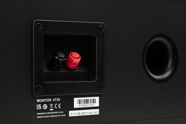 Polk Audio Monitor XT30 (Black) акустические разъёмы