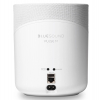 Bluesound PULSE M P230 (White)