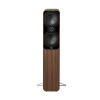 Q Acoustics 5050 Santos Rosewood Напольная акустика